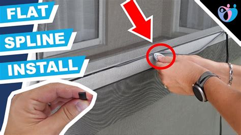 How To Spline A Screen Decide on Which Screen Spline to Use for Door Repairs - Dapa